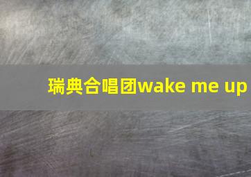 瑞典合唱团wake me up